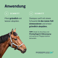 Basis Shampoo Pferd