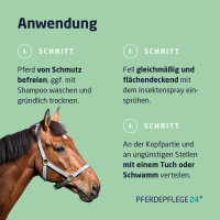 Insektenschutz Pferd
